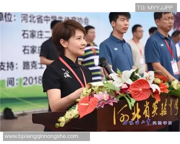 石湾足球崛起之路：从地方小队到全国联赛的辉煌历程与未来展望