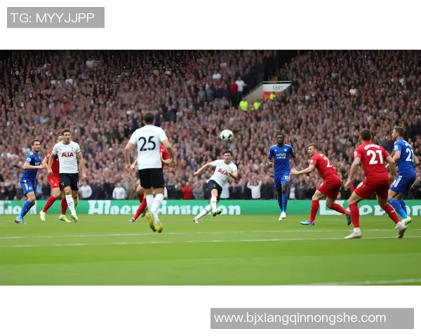 激情四溢的绿茵场上足球联赛的魅力与团队精神的完美结合