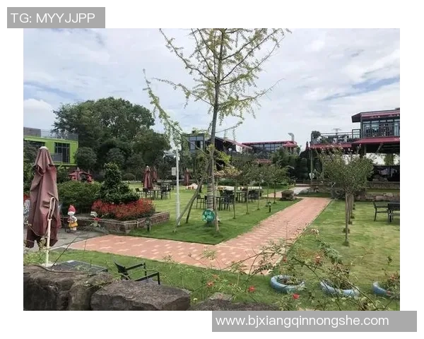 足球村物业助力社区发展打造温馨和谐的居住环境与文化氛围 足球村物业助力社区发展打造温馨和谐的居住环境与文化氛围