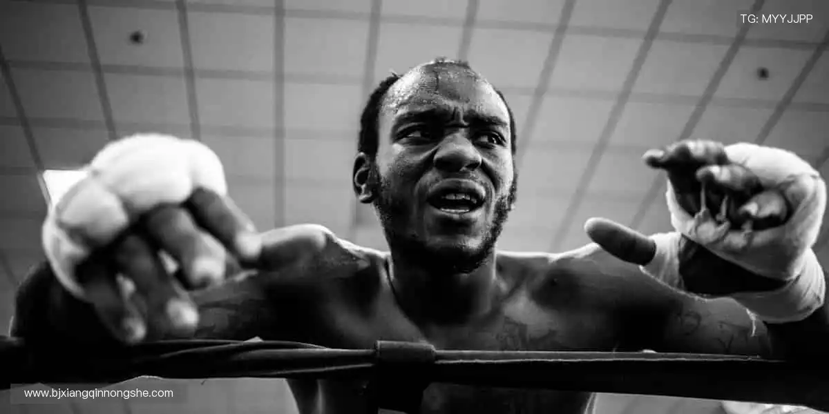 一键开启赛事狂欢,你的主场永不打烊!📱