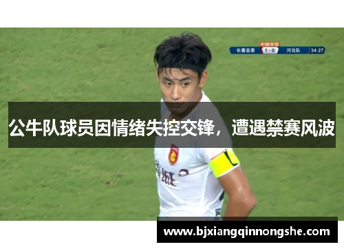 公牛队球员因情绪失控交锋，遭遇禁赛风波