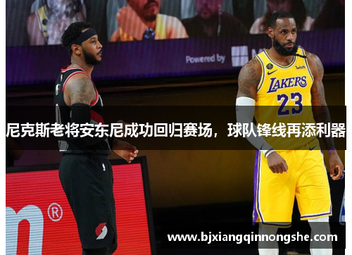 尼克斯老将安东尼成功回归赛场，球队锋线再添利器