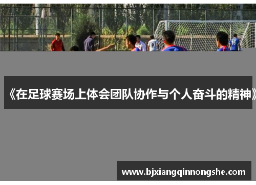 《在足球赛场上体会团队协作与个人奋斗的精神》