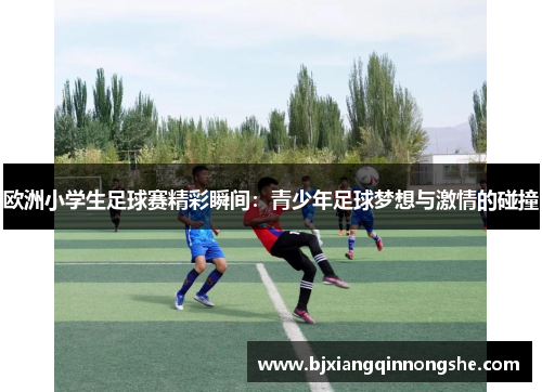 欧洲小学生足球赛精彩瞬间：青少年足球梦想与激情的碰撞