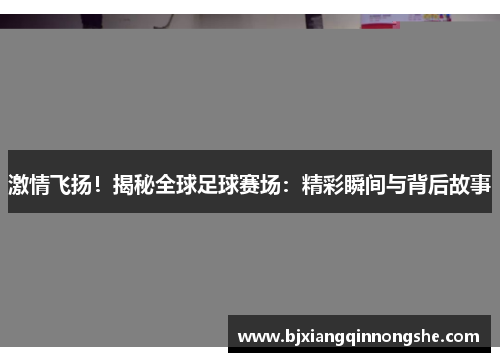 激情飞扬！揭秘全球足球赛场：精彩瞬间与背后故事
