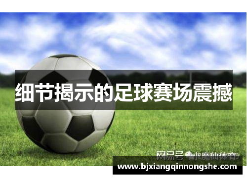 细节揭示的足球赛场震撼