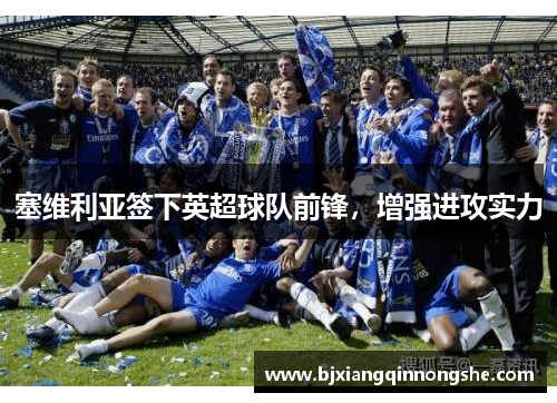 塞维利亚签下英超球队前锋，增强进攻实力