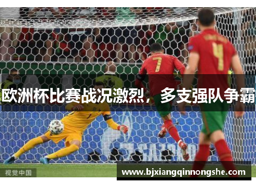欧洲杯比赛战况激烈，多支强队争霸