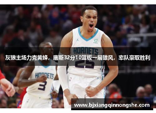 灰狼主场力克黄蜂，唐斯32分10篮板一展雄风，率队豪取胜利