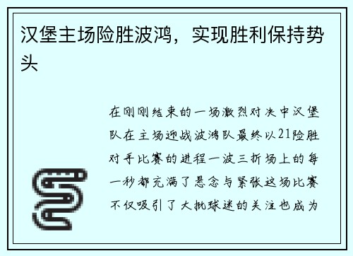 汉堡主场险胜波鸿，实现胜利保持势头