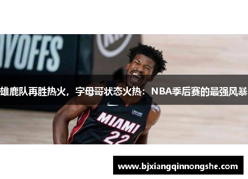 雄鹿队再胜热火，字母哥状态火热：NBA季后赛的最强风暴