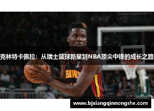 克林特卡佩拉：从瑞士篮球新星到NBA顶尖中锋的成长之路