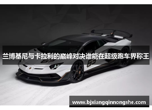兰博基尼与卡拉利的巅峰对决谁能在超级跑车界称王