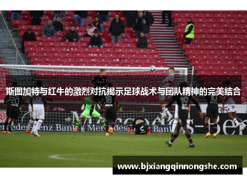 斯图加特与红牛的激烈对抗揭示足球战术与团队精神的完美结合