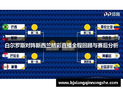 白尔罗斯对阵新西兰精彩直播全程回顾与赛后分析