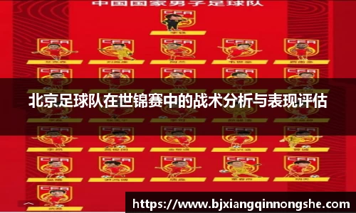 北京足球队在世锦赛中的战术分析与表现评估