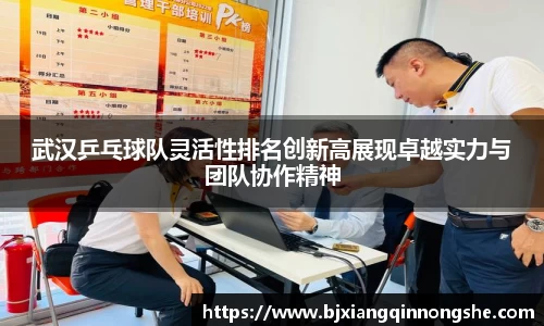 武汉乒乓球队灵活性排名创新高展现卓越实力与团队协作精神