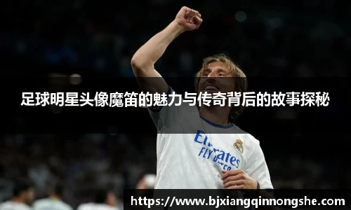 足球明星头像魔笛的魅力与传奇背后的故事探秘