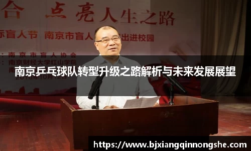 南京乒乓球队转型升级之路解析与未来发展展望