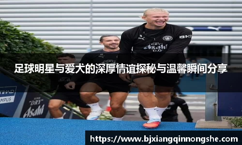 足球明星与爱犬的深厚情谊探秘与温馨瞬间分享