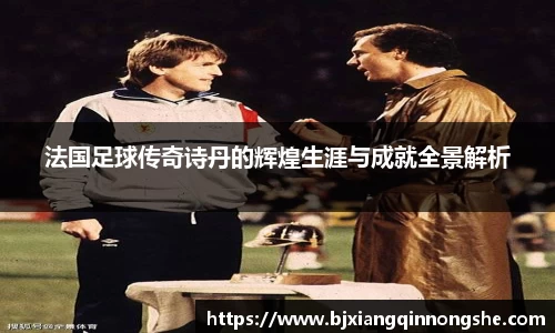 法国足球传奇诗丹的辉煌生涯与成就全景解析