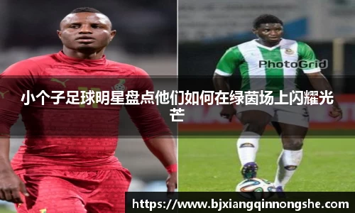 小个子足球明星盘点他们如何在绿茵场上闪耀光芒